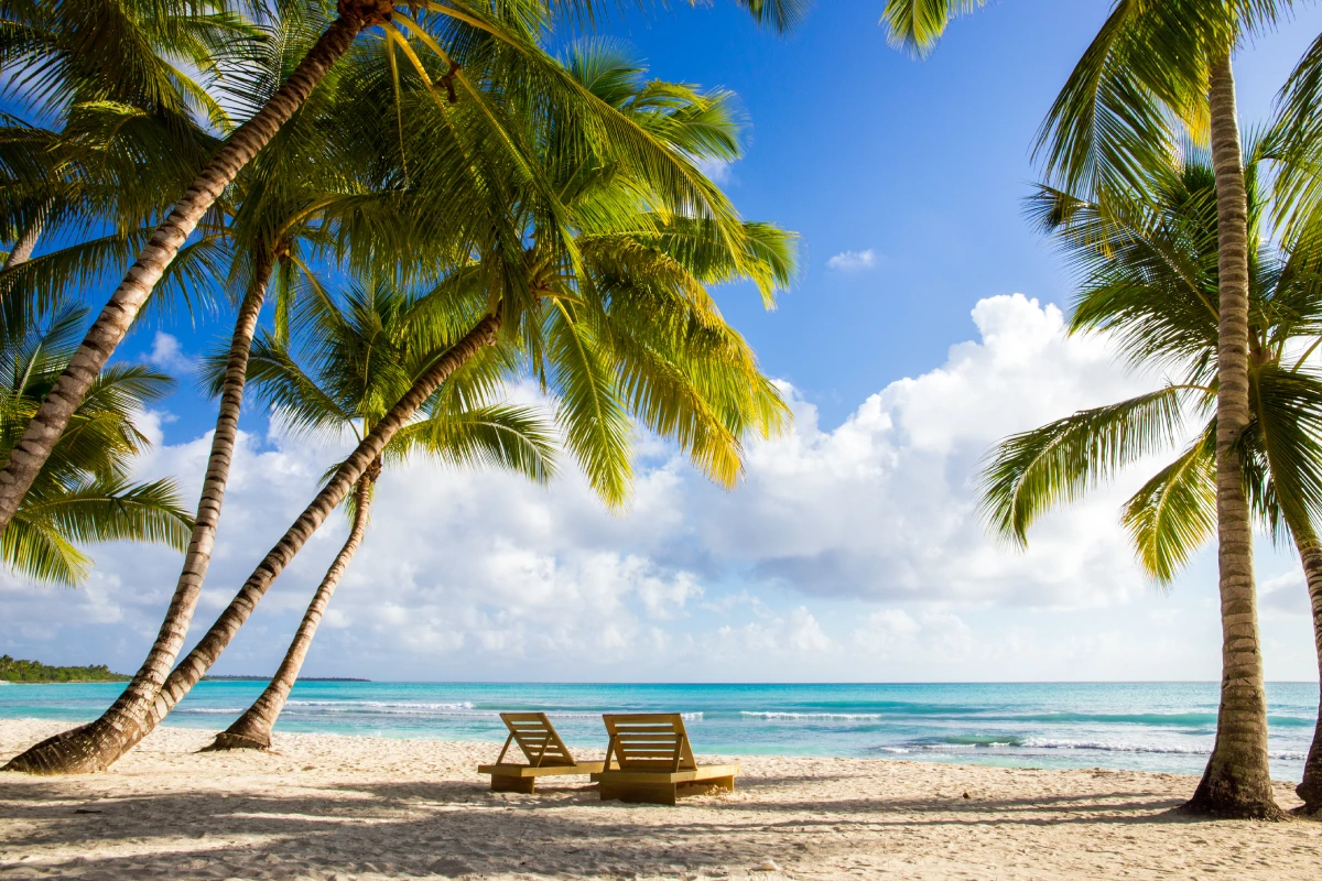 Tropical beach with lounge chairs.