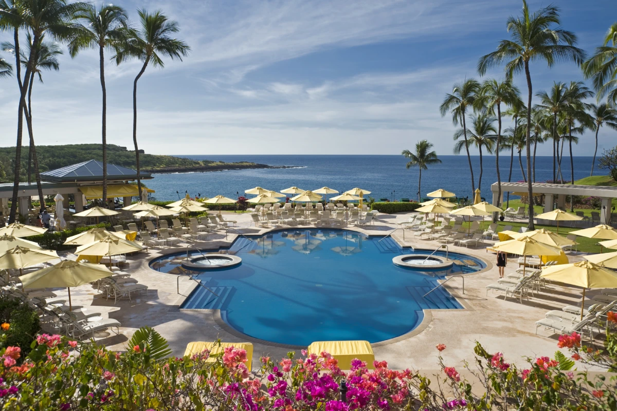 Oceanfront resort pool with palm trees.